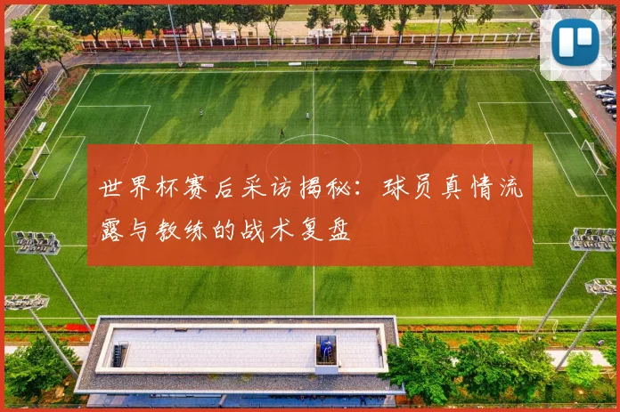 世界杯赛后采访揭秘：球员真情流露与教练的战术复盘